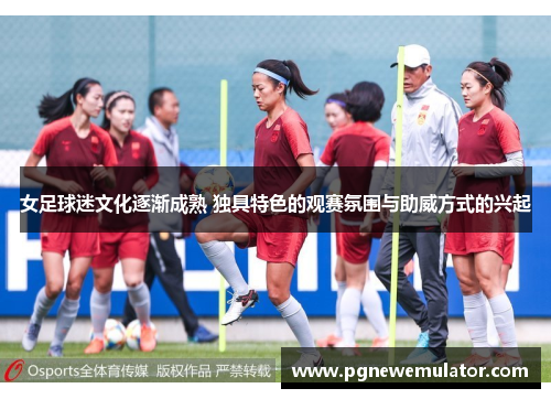 女足球迷文化逐渐成熟 独具特色的观赛氛围与助威方式的兴起