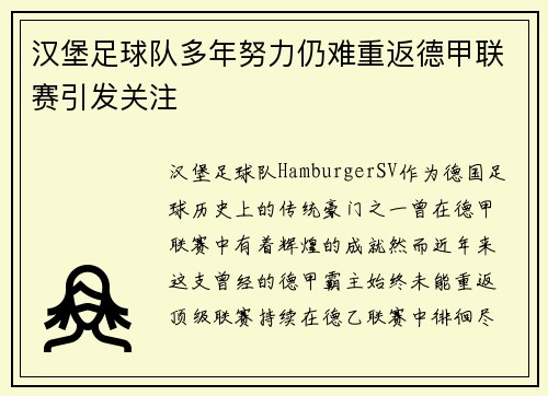 汉堡足球队多年努力仍难重返德甲联赛引发关注 汉堡足球队多年努力仍难重返德甲联赛引发关注