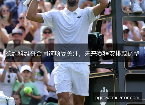 德约科维奇合同选项受关注,未来赛程安排或调整 德约科维奇合同选项受关注,未来赛程安排或调整